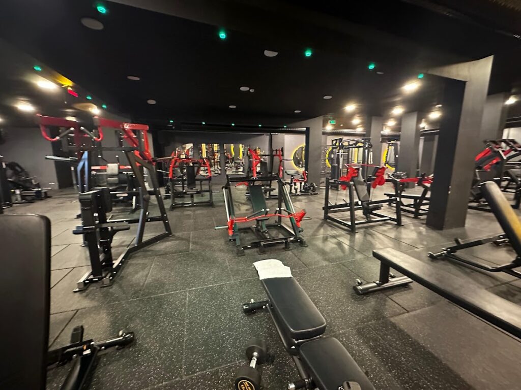 GYMLABS SONDURAK