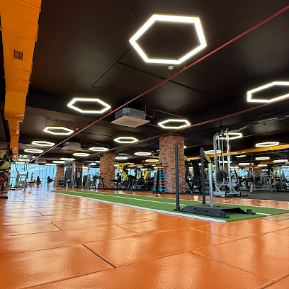 Fit Station Parseller