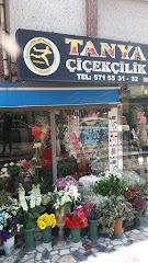 Bakırköy Çiçek Evi – En Yakın Çiçekçi