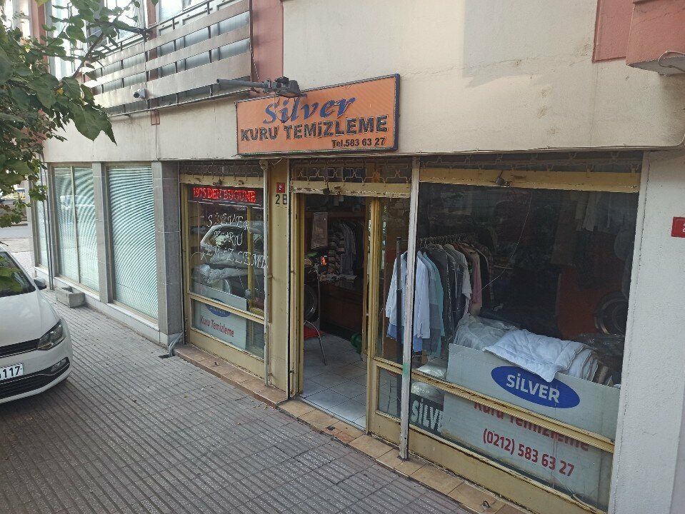 Silver Kuru Temizleme