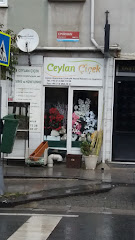 Ceylan Çiçekçilik