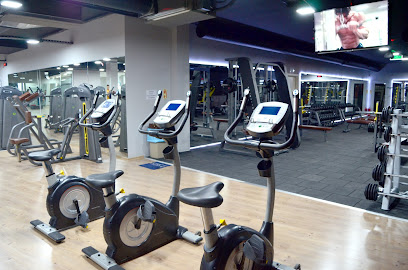 Muscle Gym