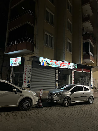 ATLAS TROPİKAL PETSHOP ÇATALCA
