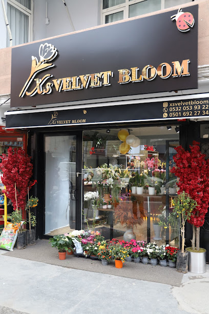 Xs Velvet Bloom – Esenler Çiçekçi