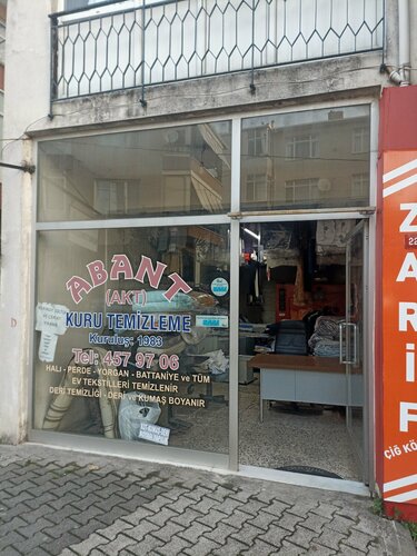 Abant Kuru Temizleme