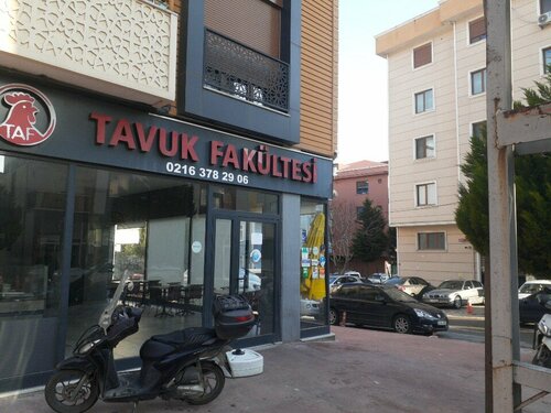 Tavuk Fakültesi Kurtköy, Şeyhli