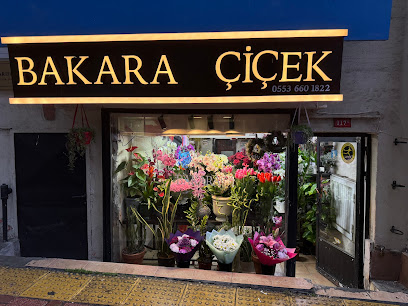 Şişli Bakara Çiçek