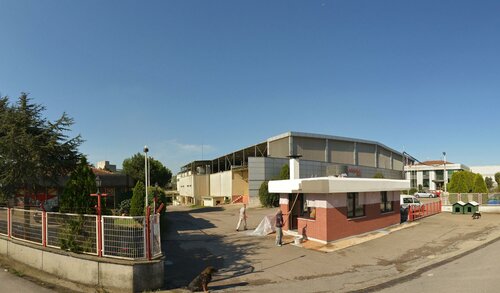 Apikoğlu