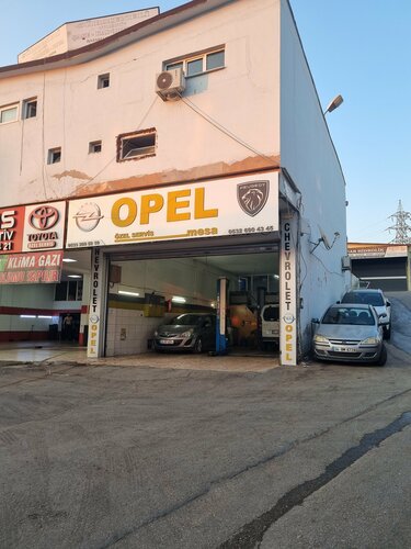 Opel Özel Servisi Mesa Otomotiv