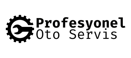 Profesyonel Otomotiv Tuzla