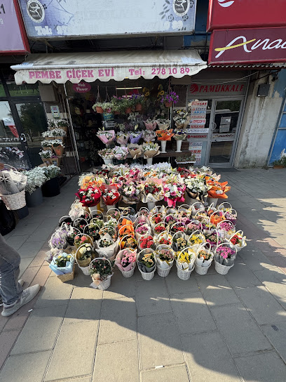 Pembe Çiçek Evi