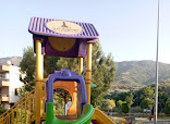 BAŞARAN ORMAN ÜRÜNLERİ HIZAR İŞLETMESİ