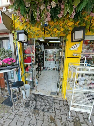 Anka Çiçek Evi
