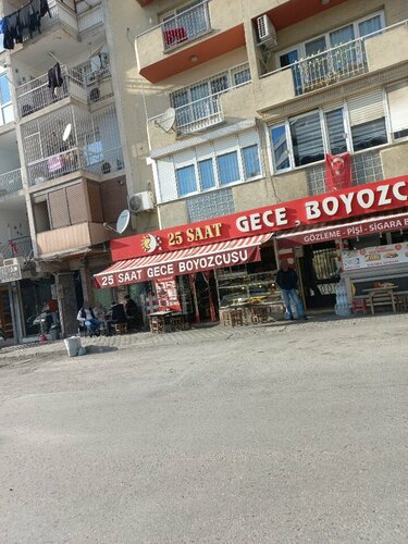 Gece Boyozcusu