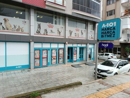 A101 Aşık Veysel Bornova