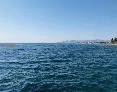 İskele Balık Restaurant Dikili