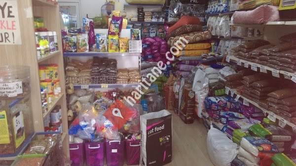 Arda Petshop Akvaryum ve Pet Ürünleri
