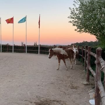 Alaş Kımız Çiftliği Kemalpaşa