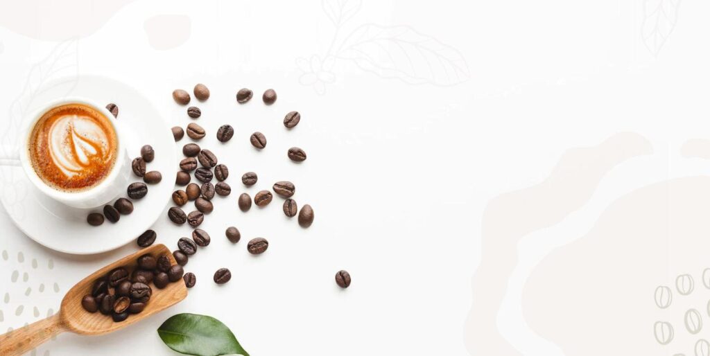 Fresco Cafe Coffee & Roastery