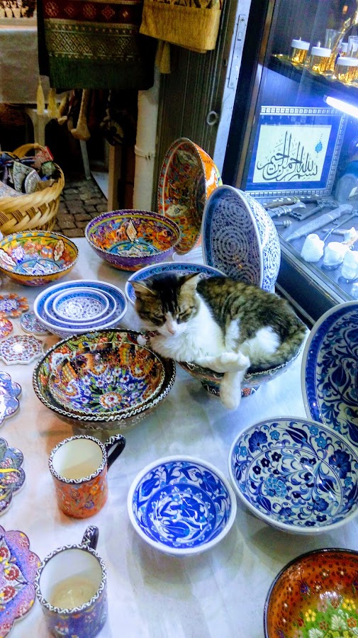 Selçuk Kuyumculuk