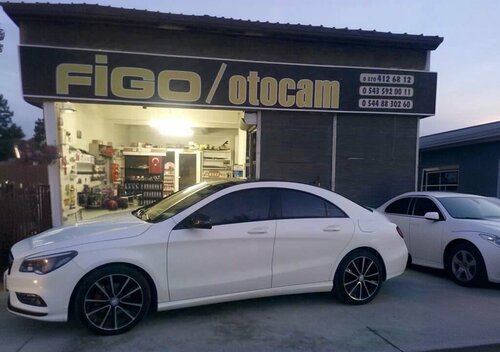 Figo Oto Cam
