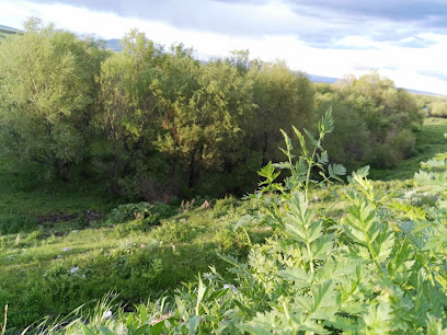Susuz Belediyesi Mesire/Piknik Alanı