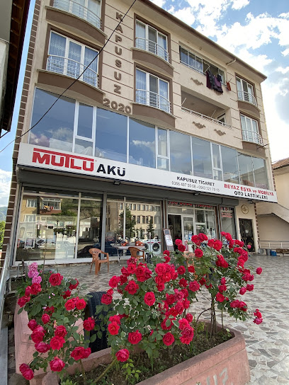 KAPUSUZ TİCARET