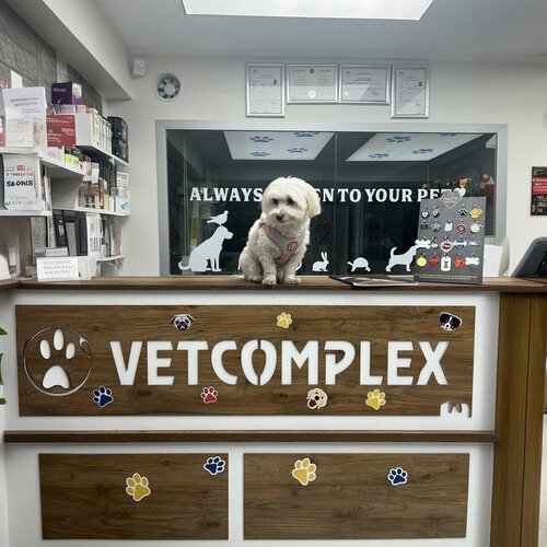 Vetcomplex Veteriner Kliniği