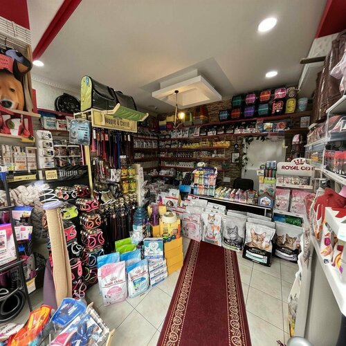 Taced Pet Store