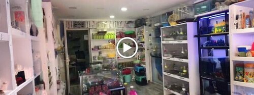 Batu Pet Shop
