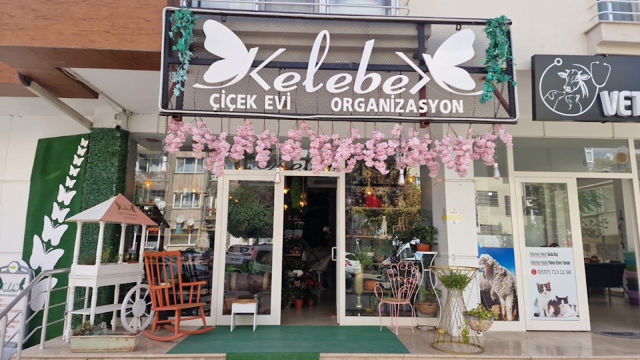 Kelebek