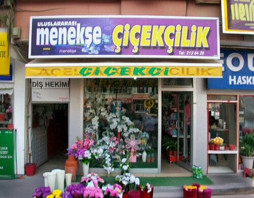 Menekşe Çiçekçilik