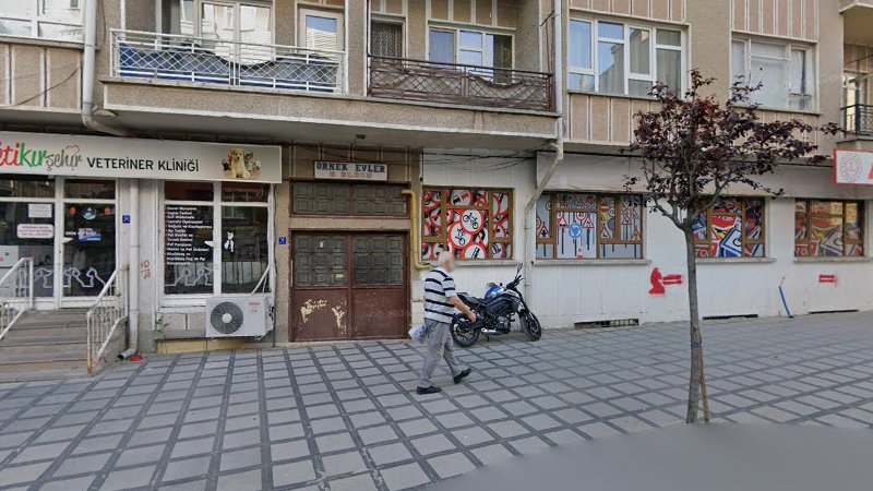 PetiKırşehir Veteriner Hizmetleri