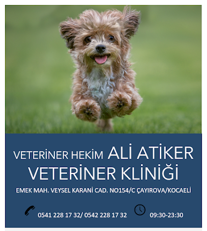 Ali ATİKER Veteriner Hekim