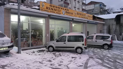 Özel Özsoylar Renault Yedek Parça Ve Servisi