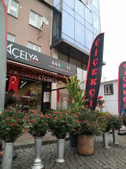 Açelya Botanik Çiçekçilik