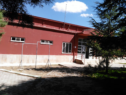 Anadolu Lisesi Spor Salonu