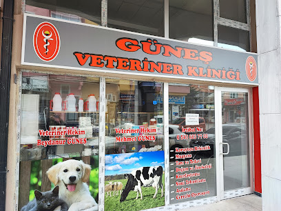 Güneş Veteriner Kliniği