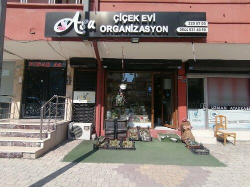 Asu Çiçek Evi ve Organizasyon