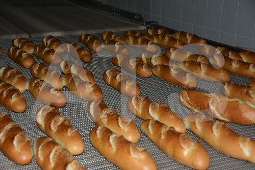 Bakery Equipment, Bakers Oven, Bakery Machine, Enkomak, Bakery Equipment