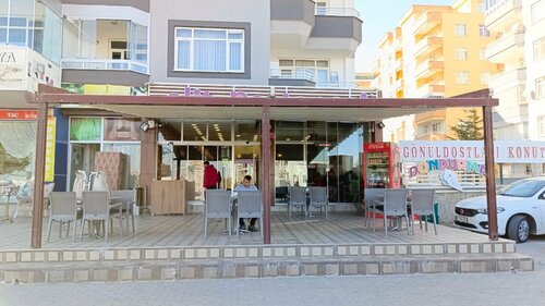 Elit Pastanesi