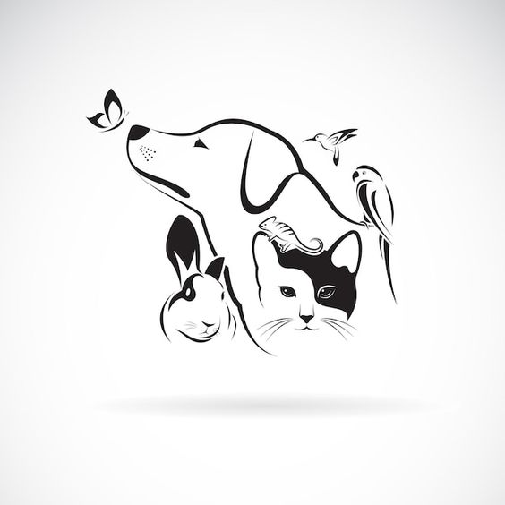 Mavi Petshop
