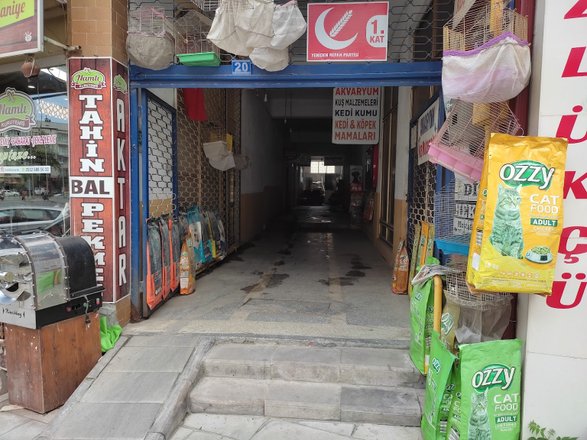 Gülpınar Akvaryum ve Kuş Galerisi