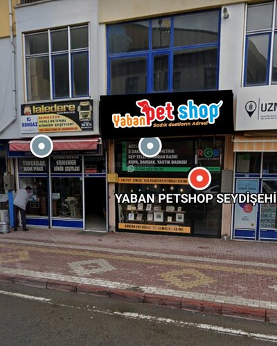 Yaban petshop