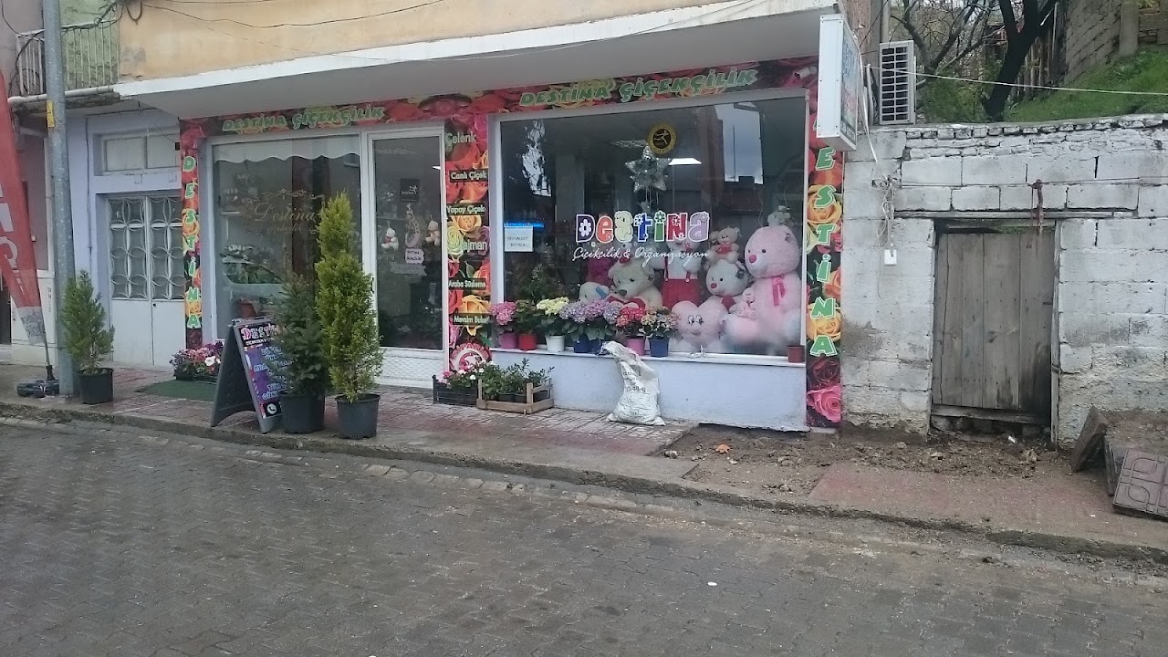 Destina Çiçekçilik