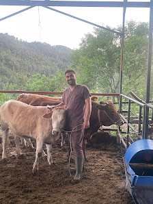 ERHAN VETERİNER KLİNİĞİ
