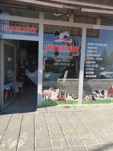 Bulut Veteriner Kliniği