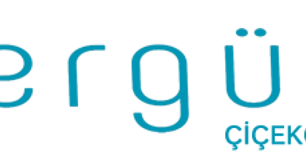 Ergün Fotoğrafçılık