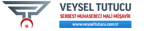Mali Müşavir Veysel Tutucu