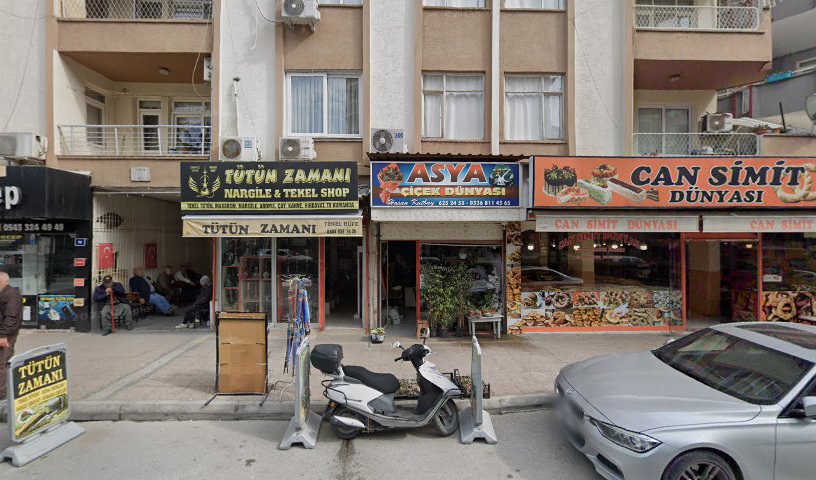 Asya Çiçek Dünyası